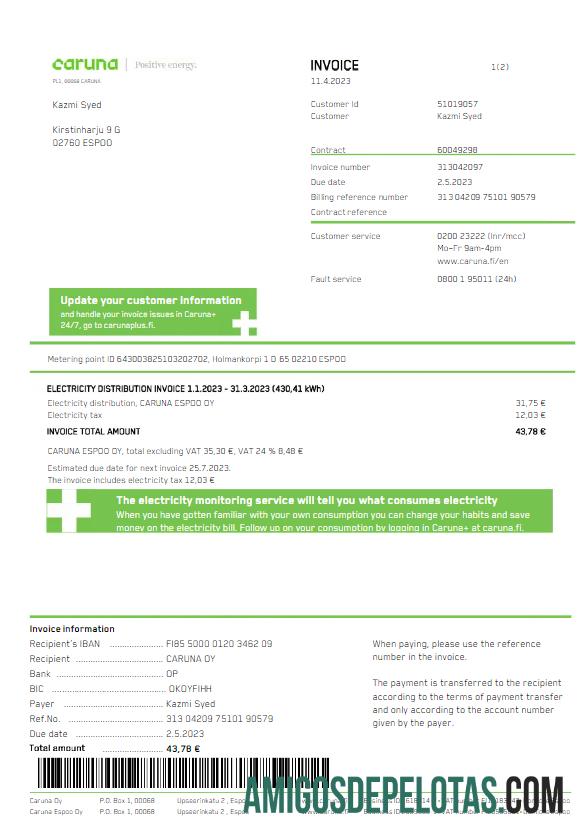 Em branco FINLÂNDIA CARUNA Conta de Serviços Públicos Word e Modelo PDF